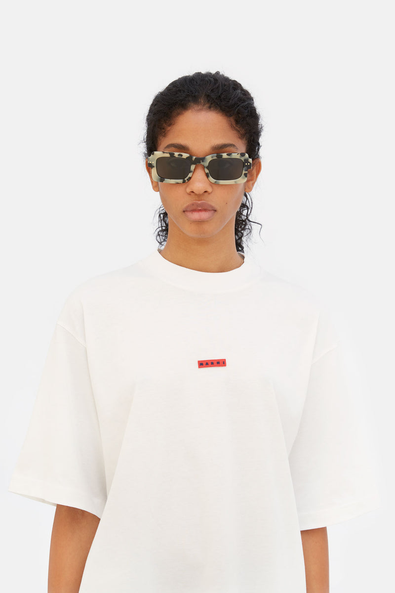 Lake Vostok Puma - Retrosuperfuture -