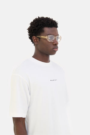 Orinoco Optical Resin — 4
