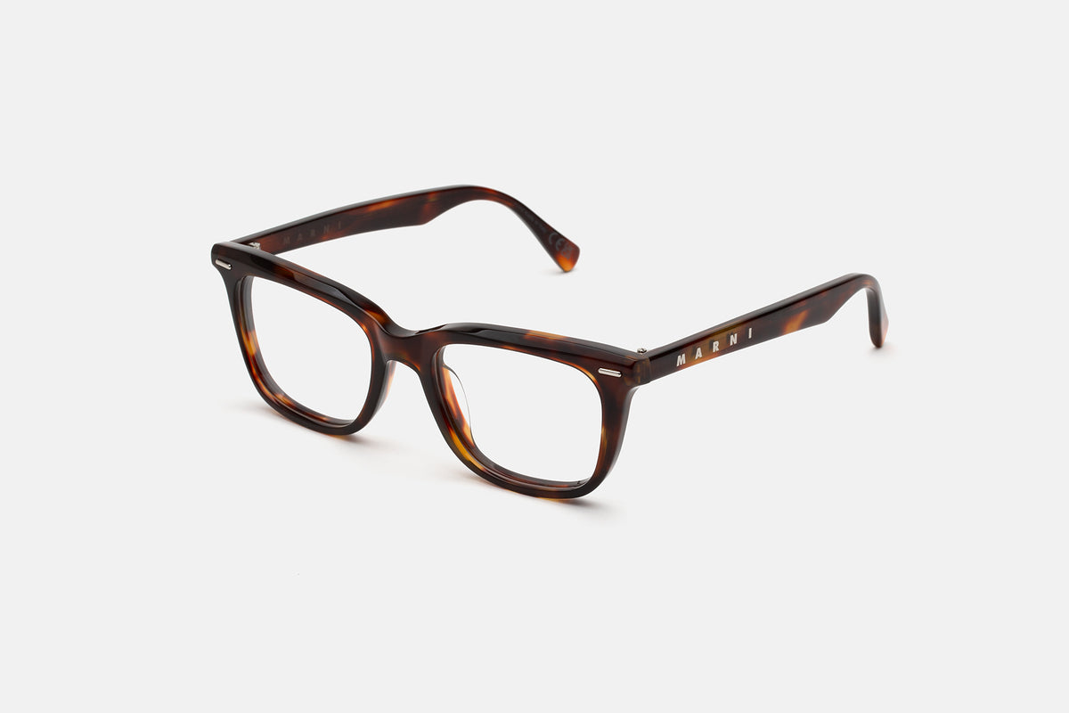 Marni Vista 01 Deep Tortoise
