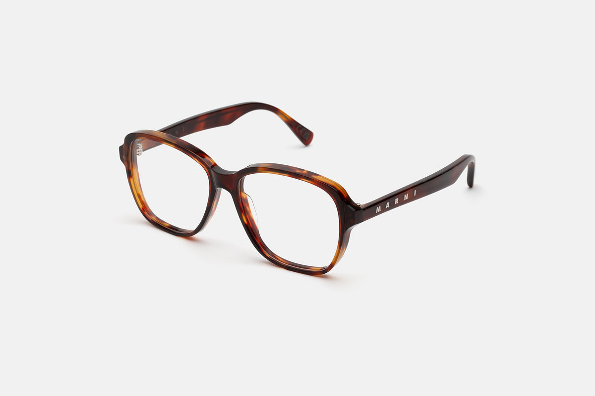 Marni Vista 03 Deep Tortoise