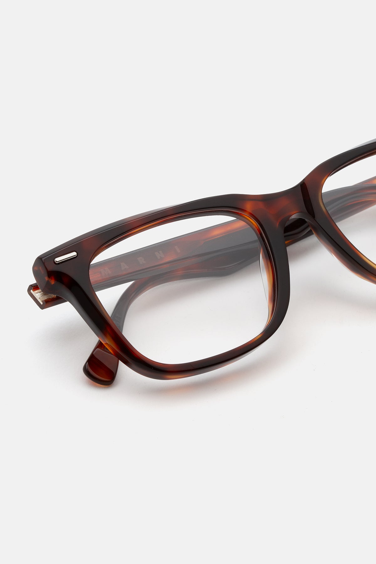 Marni Vista 01 Deep Tortoise