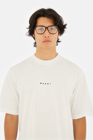 Marni Vista 03 Deep Tortoise — 6