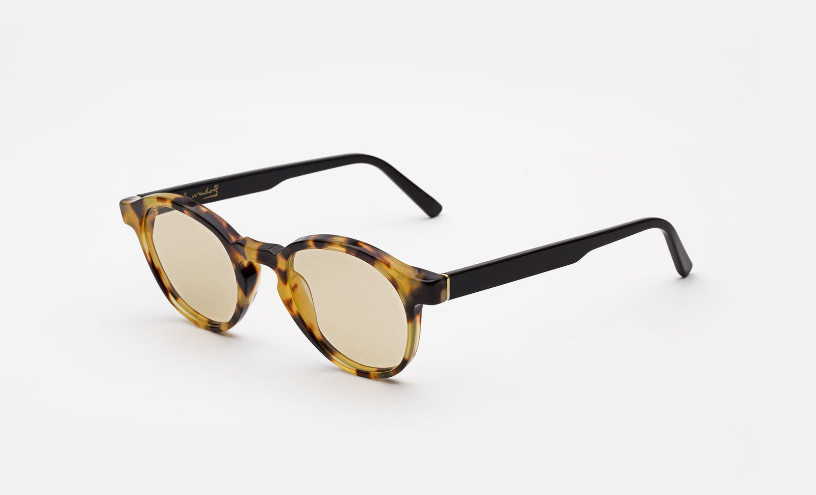 The Warhol Tortoise - Retrosuperfuture -