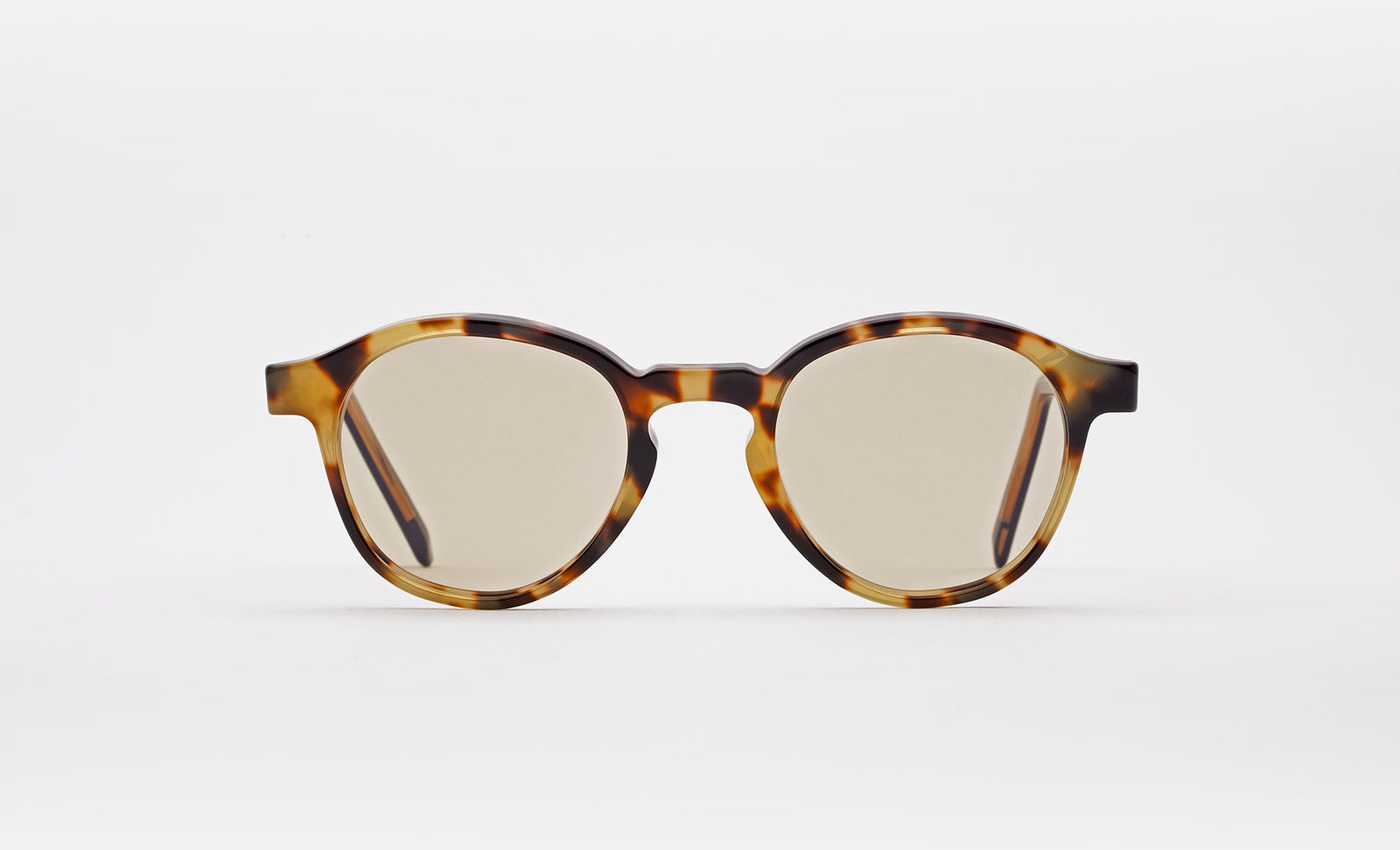 The Warhol Tortoise - Retrosuperfuture -