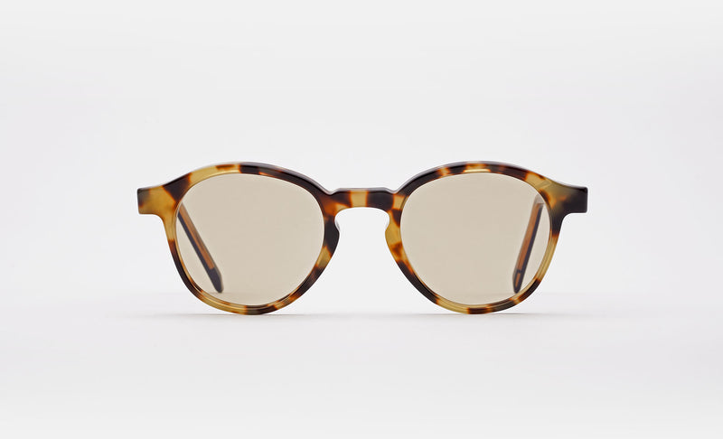 The Warhol Tortoise - Retrosuperfuture -