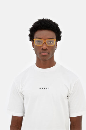 Annapuma Circuit Optical Miele — 4